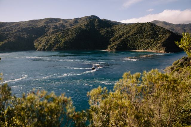 Queen Charlotte Sounds-small1